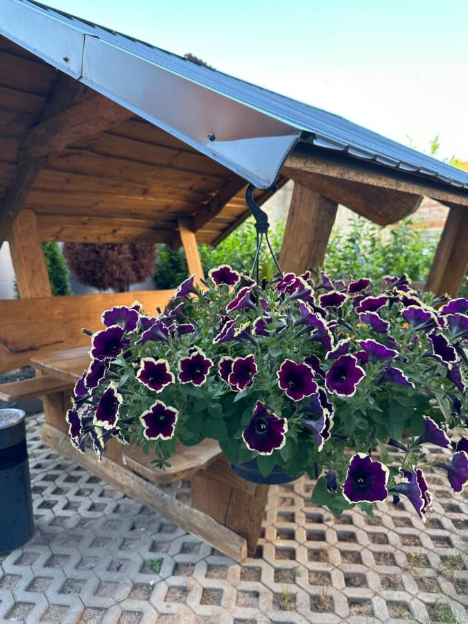 Ferienwohnungen In Erfurt Eksteriør billede